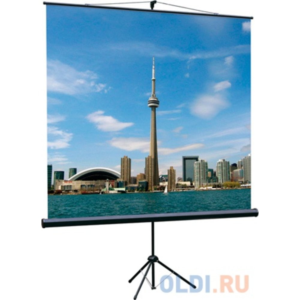 Экран на треноге Lumien 160x160см Eco View LEV-100105 1:1 напольный рулонный