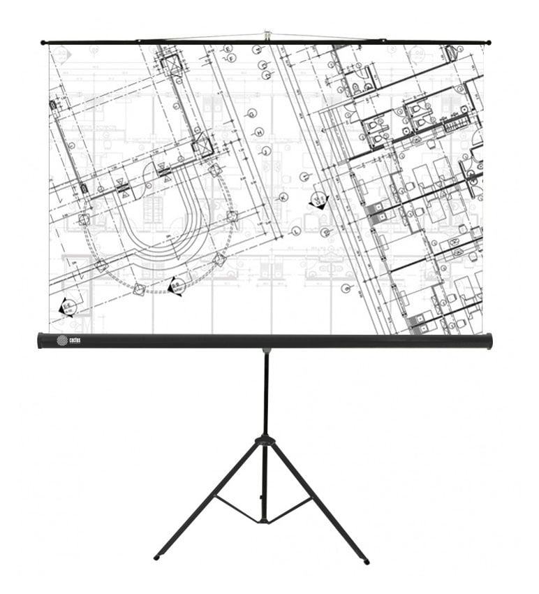 Экран Cactus 127x127см Triscreen CS-PST-127X127 1:1 напольный рулонный белый